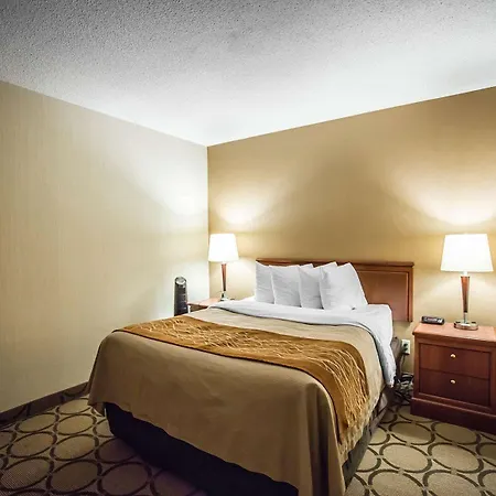 Comfort Kanata West 4*