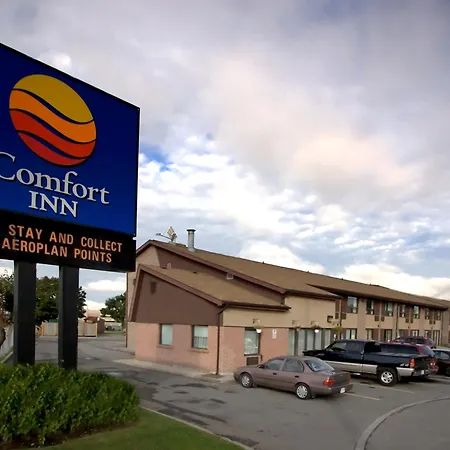 Comfort East