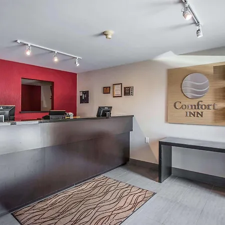 Inn Comfort East 4*