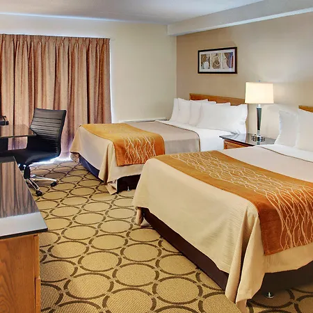 Comfort East 4*