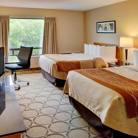 Comfort East 4*