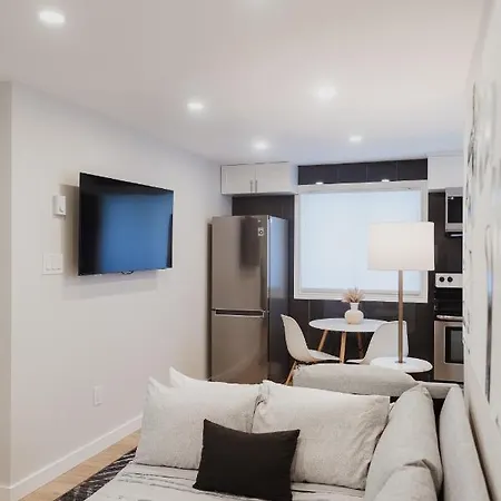 Modern, Luxurious Near Downtown Apartment