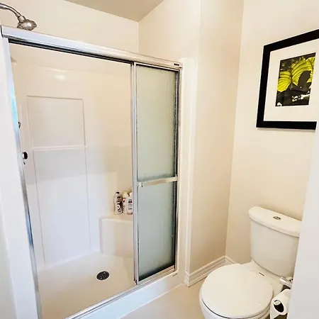 Spacious And Serene 3br Home. Newly Renovated.