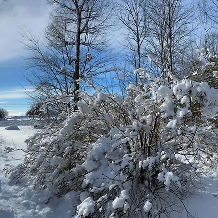 Holiday home Cozy 4-bedroom Haven For Relaxing Getaways Ottawa