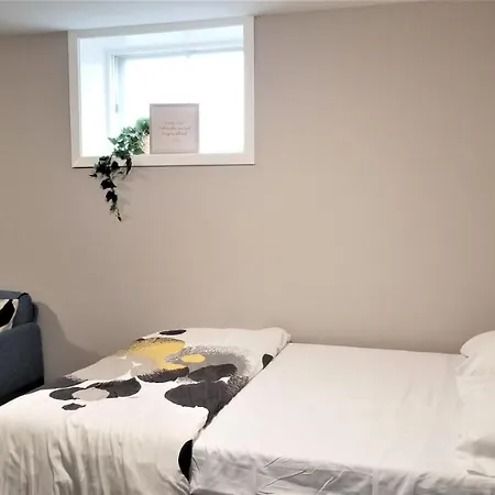 Charming Studio With Parking, Netflix, Full Kitchen - Close To Algonquin College *
