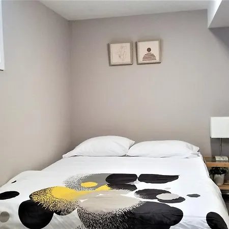 Charming Studio With Parking, Netflix, Full Kitchen - Close To Algonquin College Apartment Ottawa
