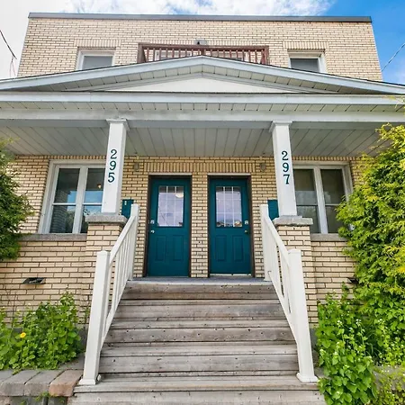 Apartment Bright And Cozy 1br Unit - Prime Location!