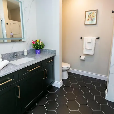Luxury 1 Bedroom With King Bed - Near Byward Market Apartment *