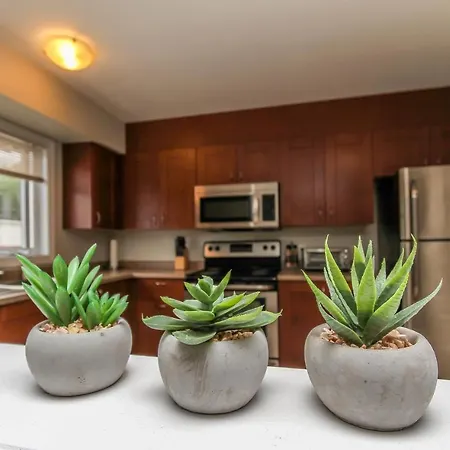 Well Located Entire Luxury 2 Bedroom Parking Wi-fi * Ottawa