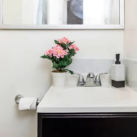 Charming Studio Apt Near Downtown W Queen Bed Ottawa
