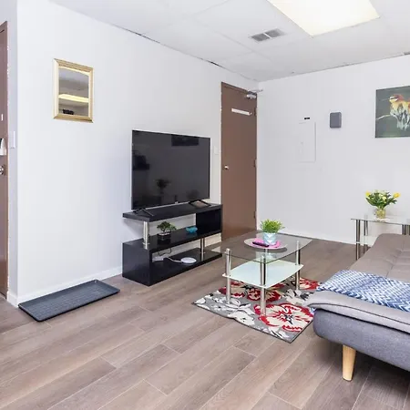 Modern 1br - Steps To Little Italy Ottawa