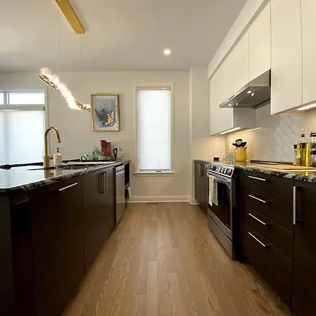 Luxury 3 Bedrooms Semi-detached In Downtown