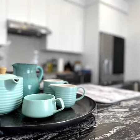 Luxury 3 Bedrooms Semi-detached In Downtown
