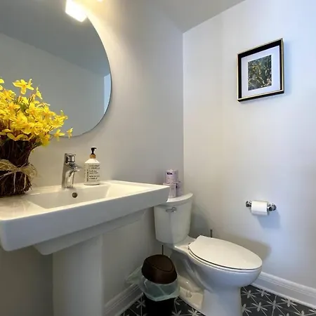 Luxury 3 Bedrooms Semi-detached In Downtown Ottawa