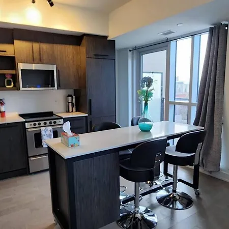 The Luxurious Charlotte Downtown *