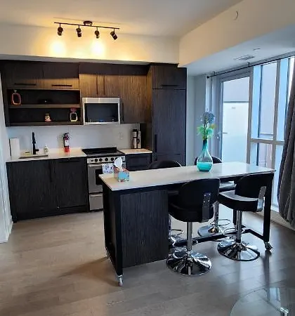 The Luxurious Charlotte Downtown *