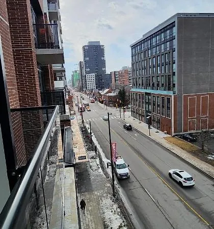 The Luxurious Charlotte Downtown *