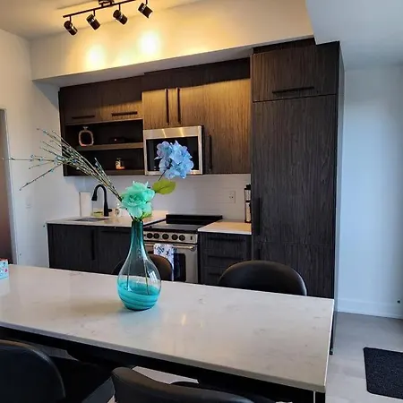 Apartment The Luxurious Charlotte Downtown