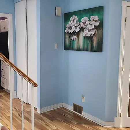 Entire 9 Person House With Sky Light