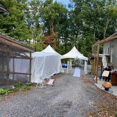 Cozy & Porches For Intimate Weddings Reunions *