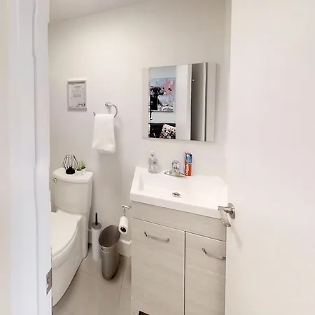 Bachelor In Downtown