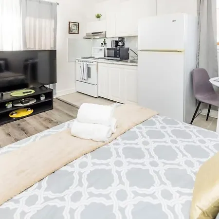 Pet-friendly Studio - Close To Chinatown Apartment *