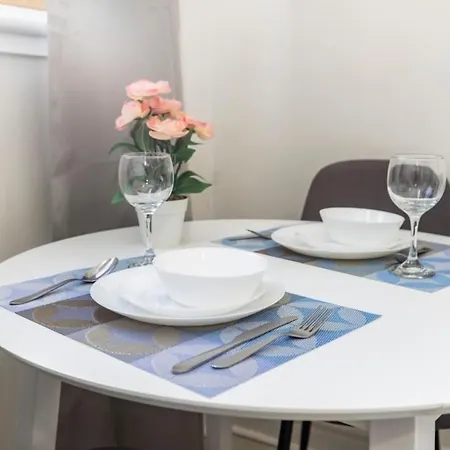 Pet-friendly Studio - Close To Chinatown Ottawa