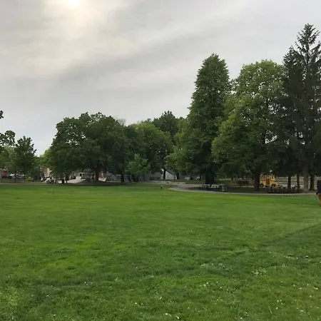 Apartment Pet-friendly Studio - Close To Chinatown Ottawa