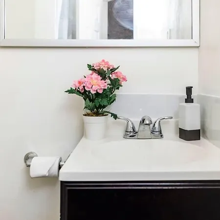 Pet-friendly Studio Unit - Close To Chinatown Ottawa