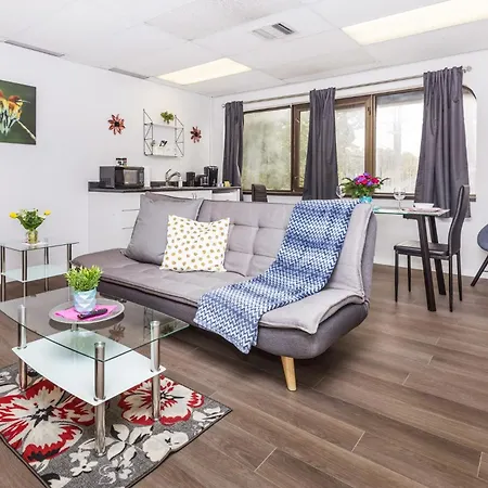 Modern 1br - Near To Little Italy Apartment