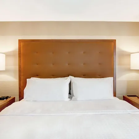 Hotel Homewood By Hilton Kanata Ottawa