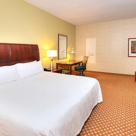 Hotel Hilton Garden Airport 3*