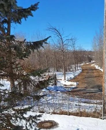Nature Retreat In The City * Ottawa