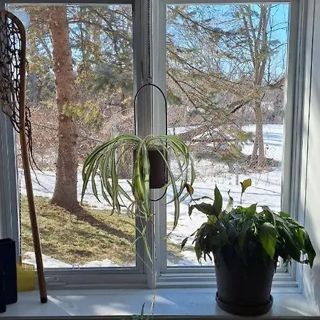 Nature Retreat In The City