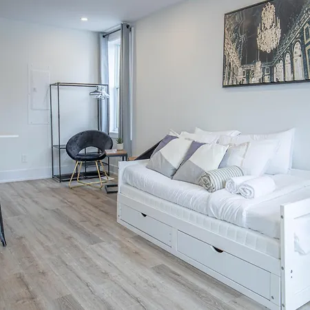 Apartment Private Unit In The Heart Of Ottawa, 3 Minutes To Downtown Ottawa