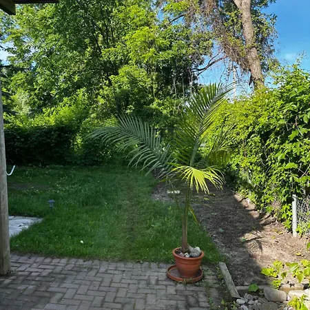 Nature Retreat In The City Ottawa