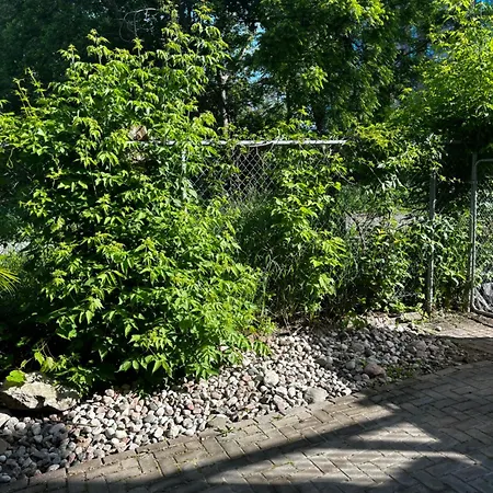 Nature Retreat In The City Guest house *