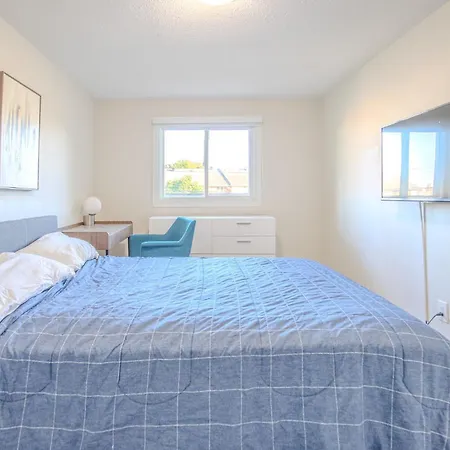 Luxury Brand New With Free Parking In