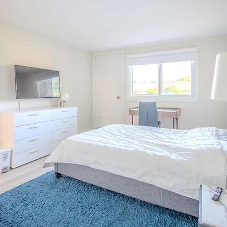 Luxury Brand New With Free Parking In