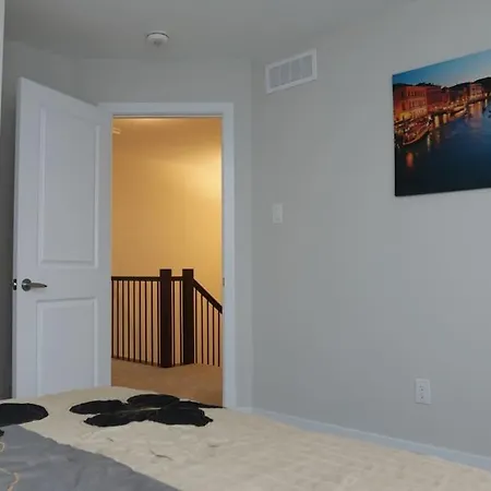 The Pizzicato Comfort And Convenience Close To Downtown Ottawa