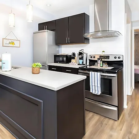 Apartment Pet Friendly - 1br Newly Renovated Ottawa