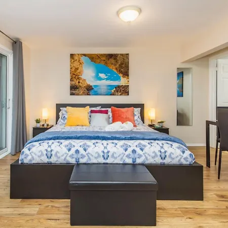 Studio Close To Algonquin College - Pet Friendly Apartment