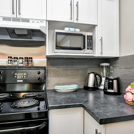 Easy Access To Downtown - Spacious Ottawa