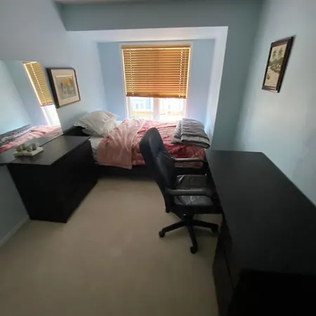 Hiba