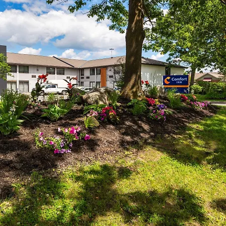 Comfort Kanata West