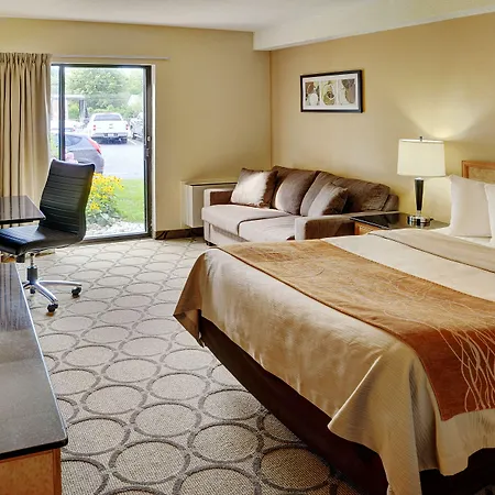 Comfort East 4*