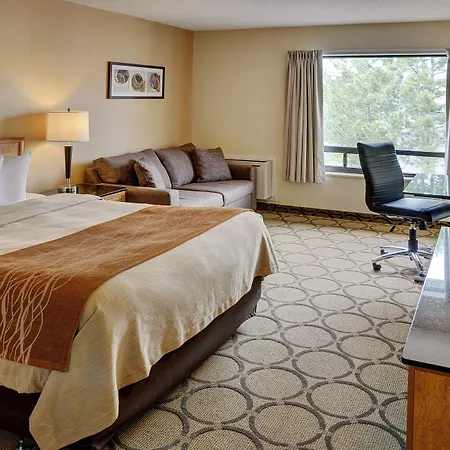 Inn Comfort East