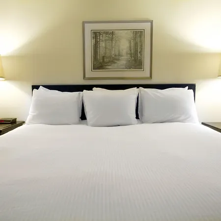 Aparthotel The Business 3*