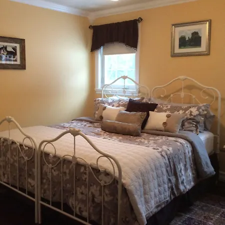 The Boston 't' 3* Ottawa
