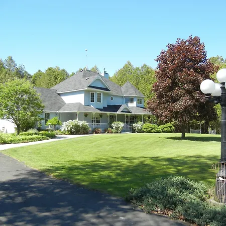 Bed & Breakfast The Boston 't' 3*